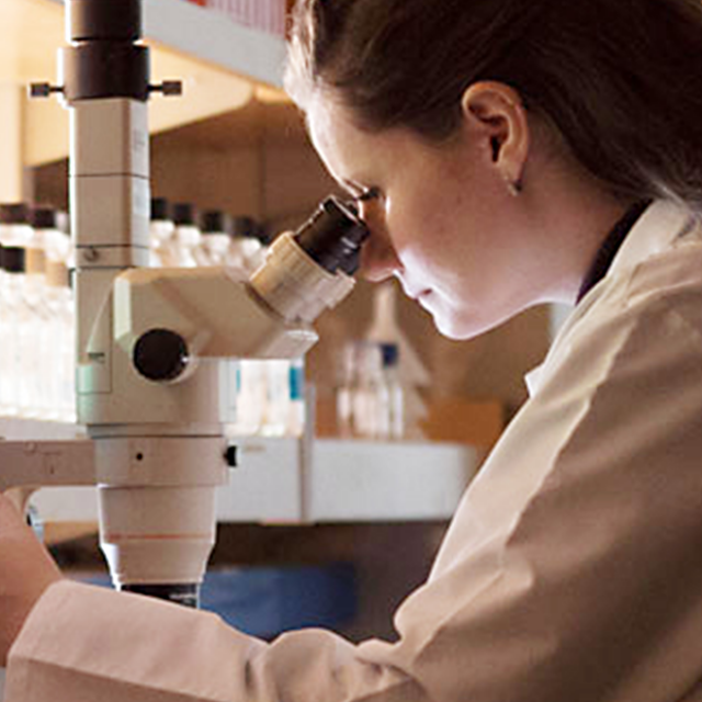 female researcher looking through a microscope