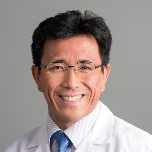Hibino