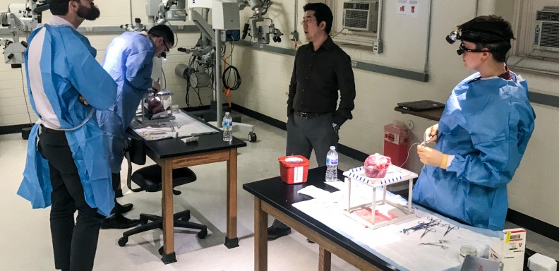 Cardiothoracic Fellowship